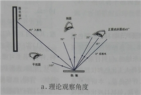 理論觀察角度.jpg 理論觀察角度.jpg