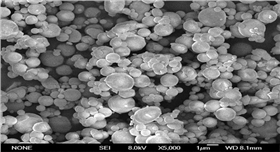 銀箭鋁粉電鏡圖1-3UM.jpg 銀箭鋁粉電鏡圖1-3UM.jpg