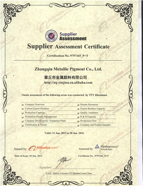 銀箭鋁銀漿廠家獲得TUV認證證書 銀箭鋁銀漿廠家獲得TUV認證證書